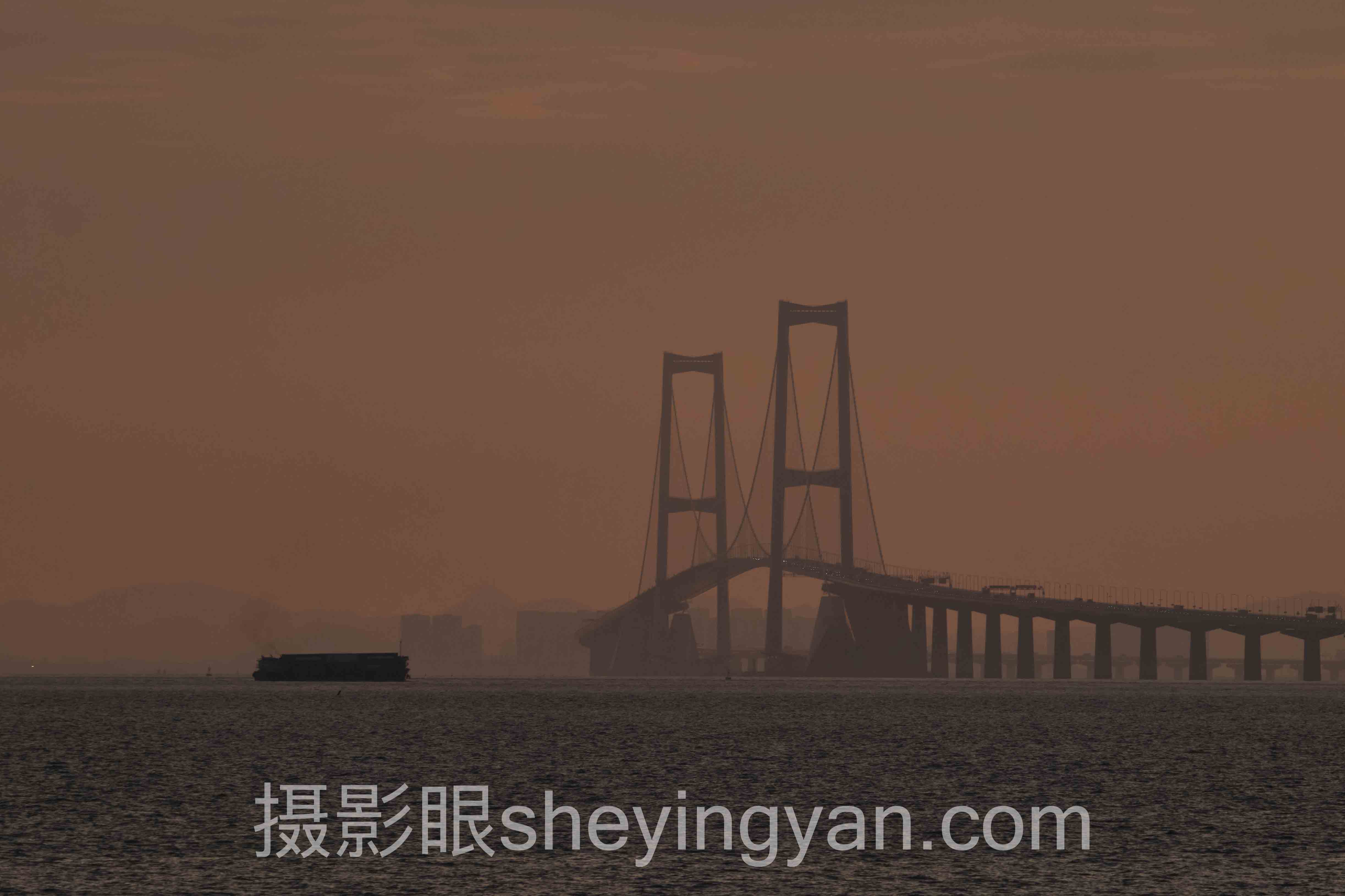 相机对焦性能实战案例拆解：5大品牌旗舰机型的共同规律