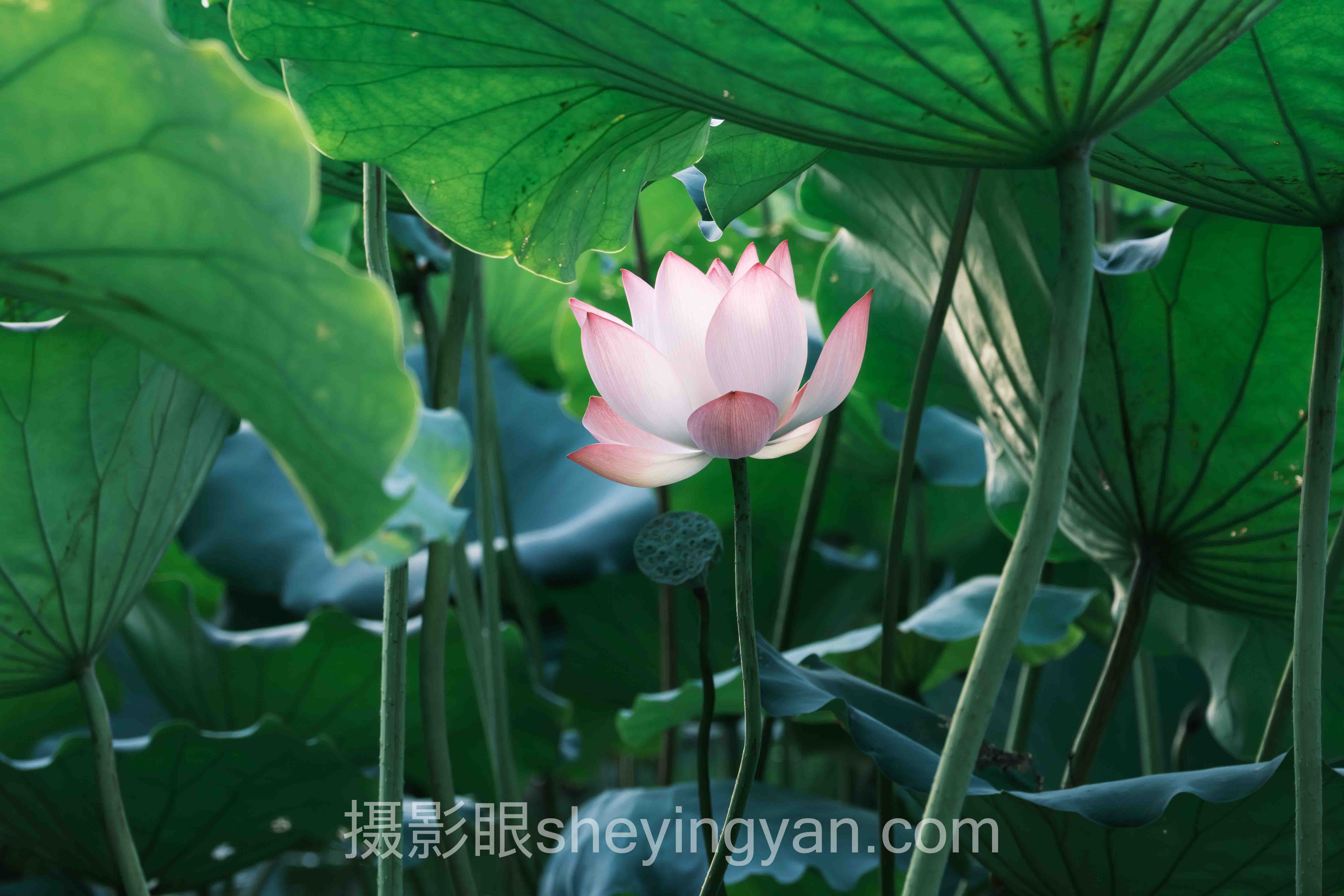 对话行业专家:摄影学习哪家好的关键洞察与前瞻