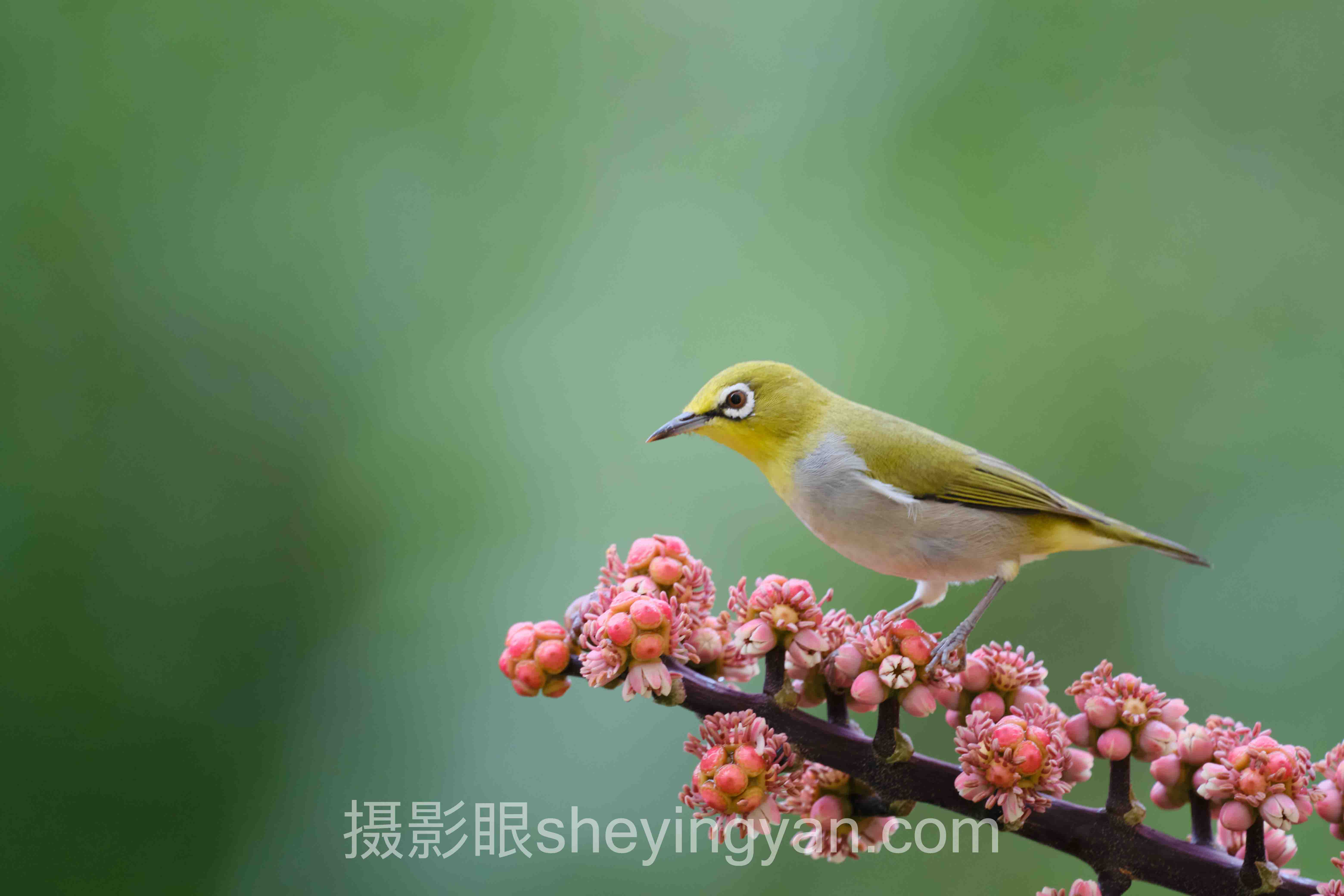 深度解析：如何选择摄影学习的核心问题与答案