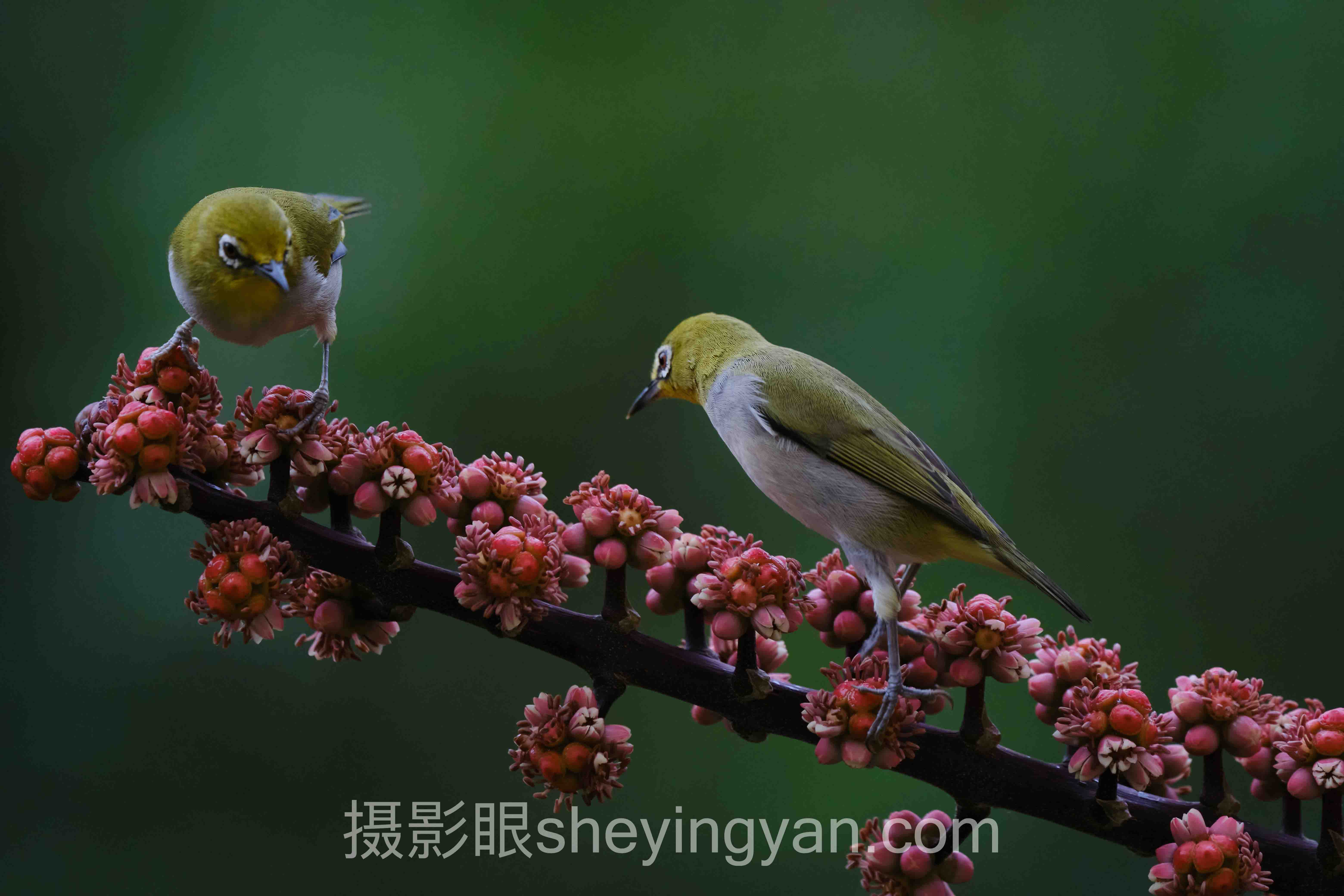 摄影新手怎么进步系统课十人谈：多位专家的核心观点汇总