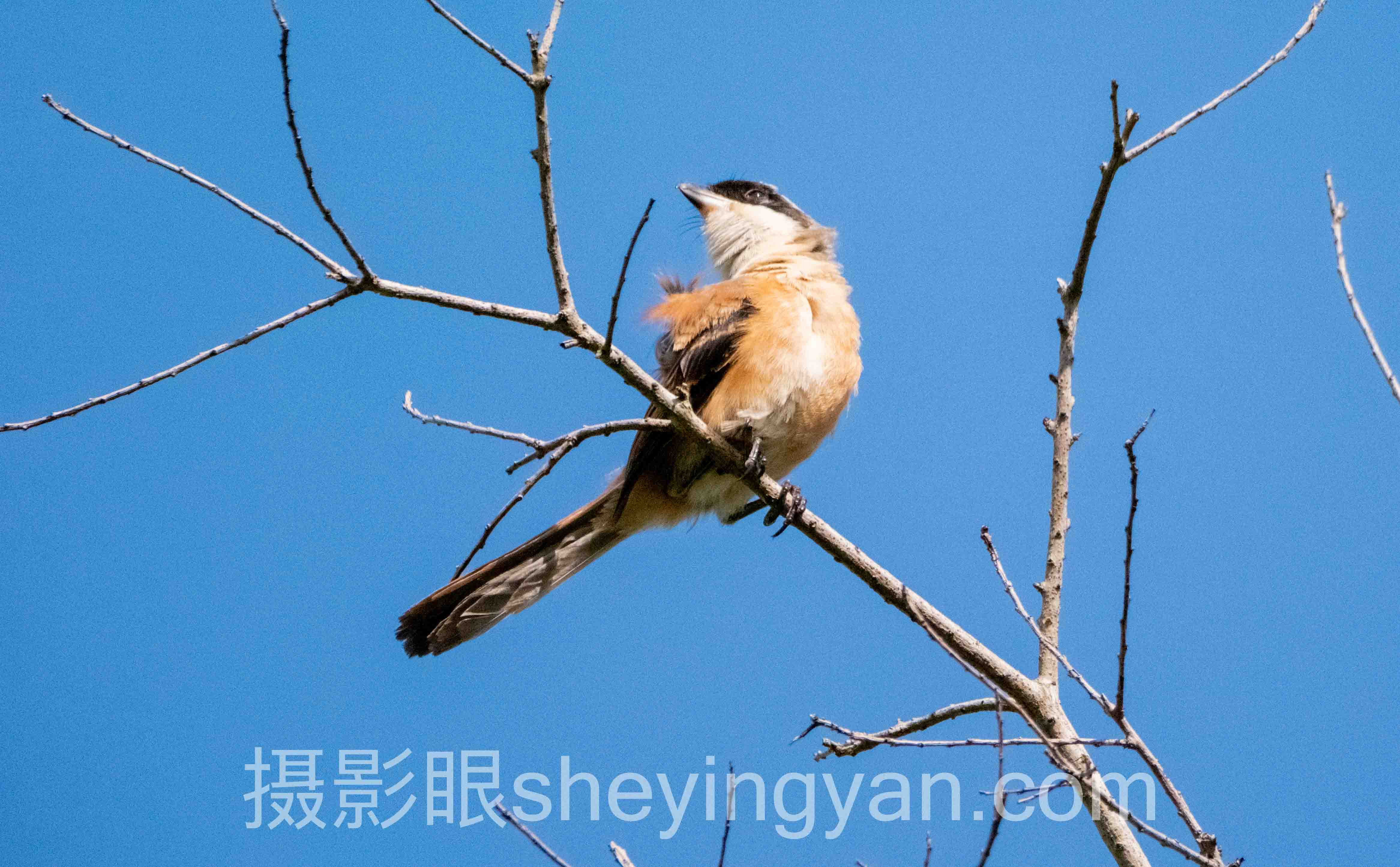 摄影审美快速提升怎么做？3个真实案例告诉你答案