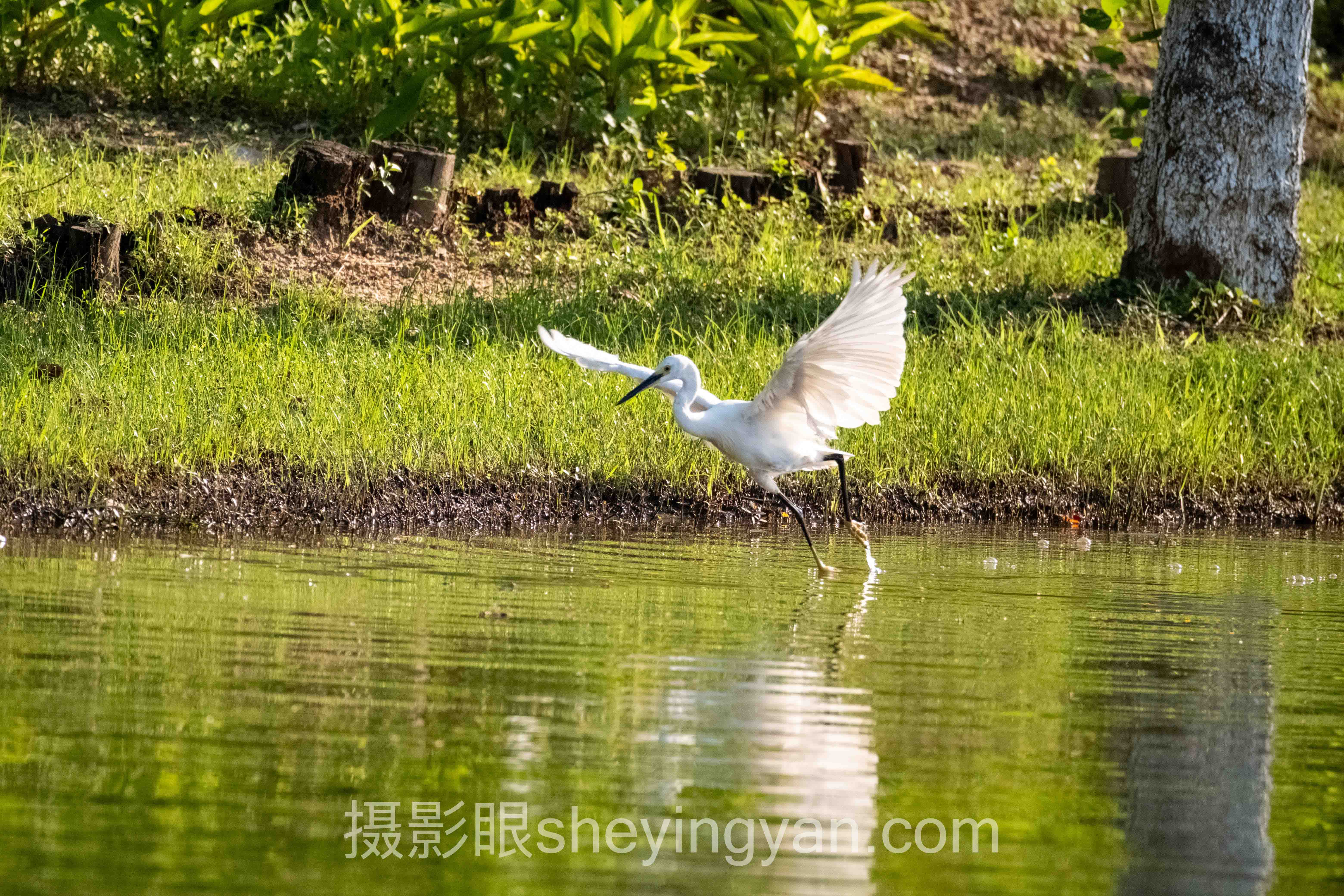 摄影审美公众号推荐深度分析：现状、挑战与未来趋势