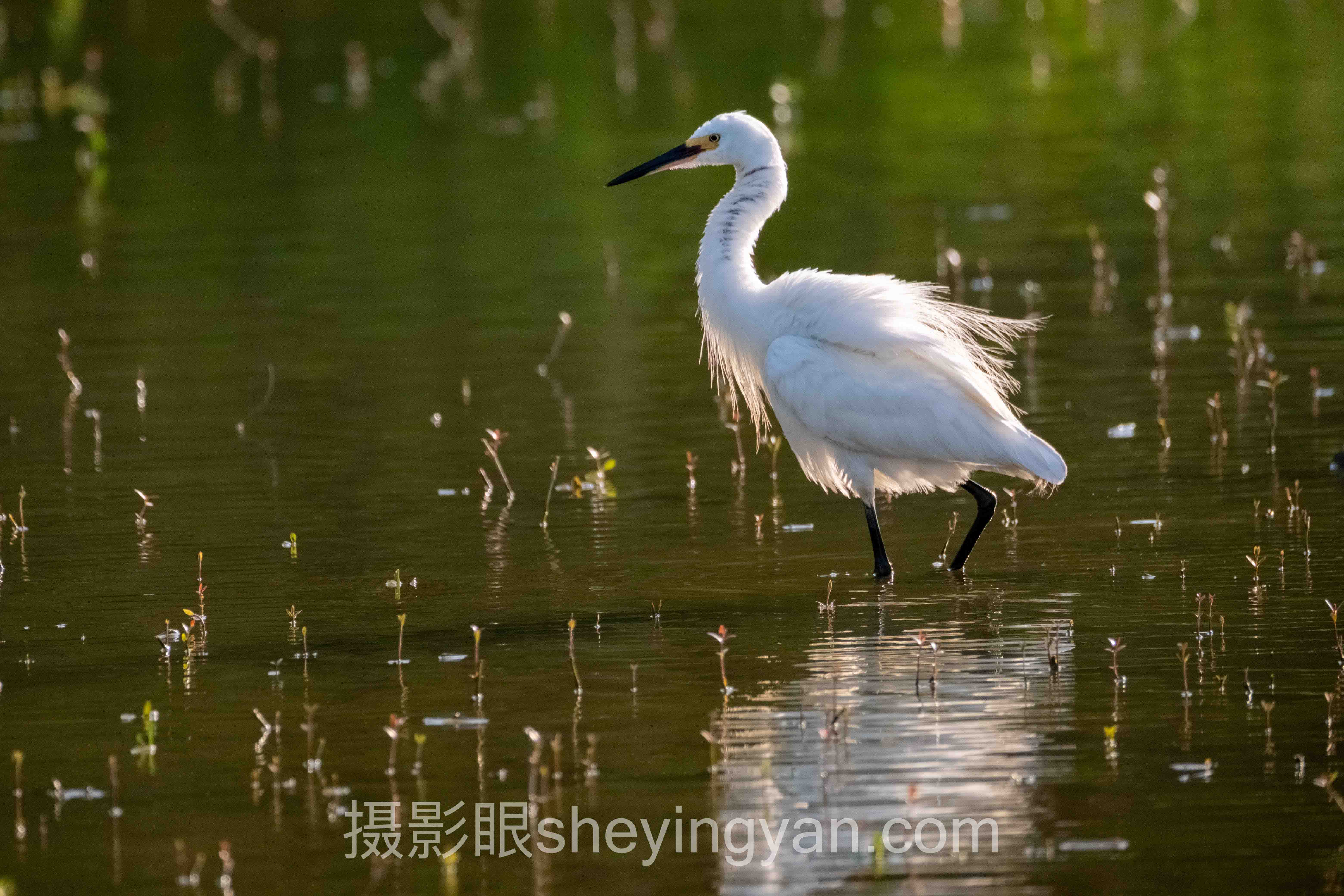 摄影学习价格对比深度评测：四种路径全面解析