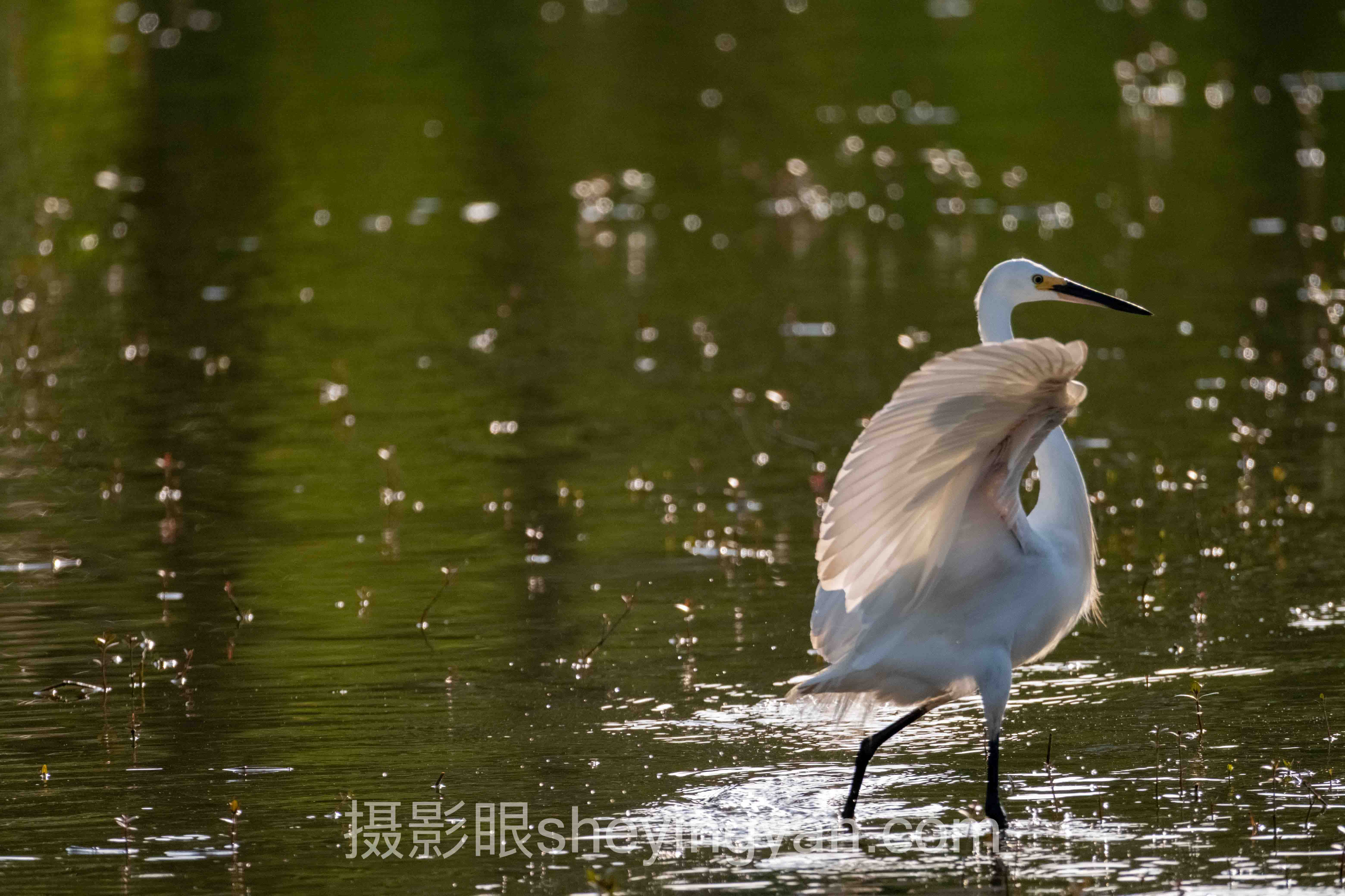 摄影新手怎么进步书籍推荐全问答:你想知道的都在这里